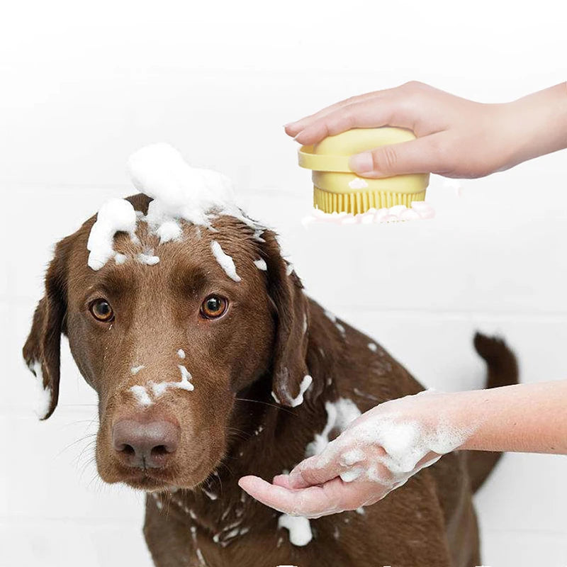 Bathroom Puppy Big Dog Cat