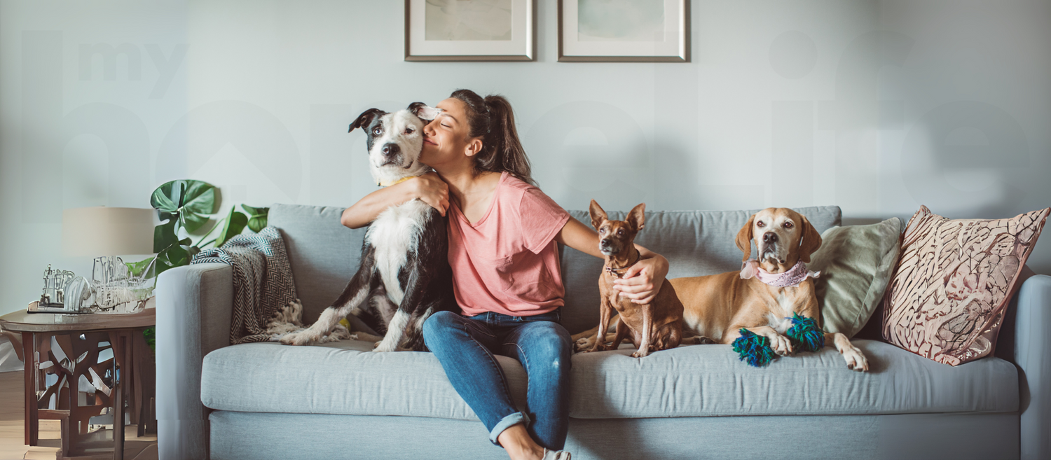 Pets