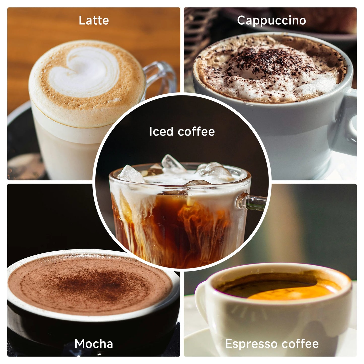 BioloMix Cafetera Semiautomática de Acero Inoxidable de 20 Bares, con Varita Espumadora de Leche, para Espresso, Cappuccino