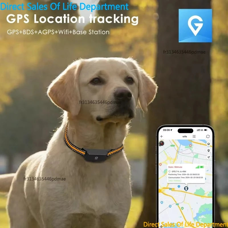 Localizador GPS 4G IP67 resistente al agua para perros y gatos, mini rastreador de mascotas en tiempo real antipérdida, collar inteligente con control por aplicación