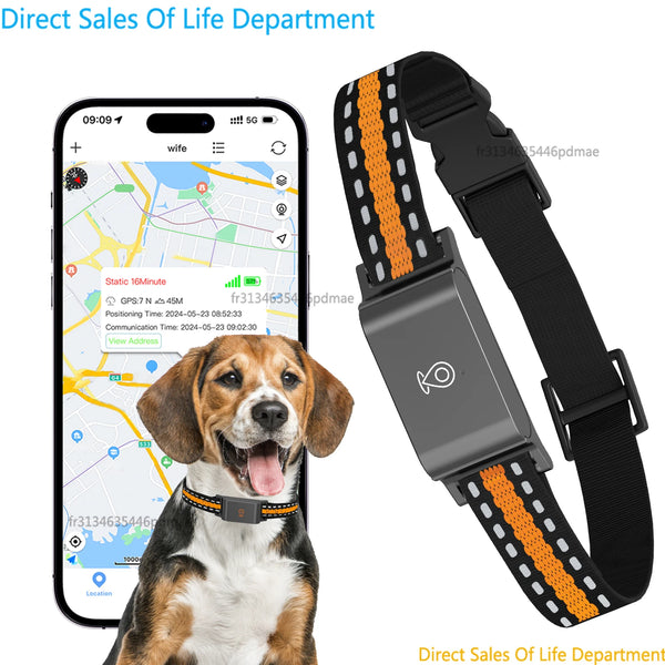 Localizador GPS 4G IP67 resistente al agua para perros y gatos, mini rastreador de mascotas en tiempo real antipérdida, collar inteligente con control por aplicación